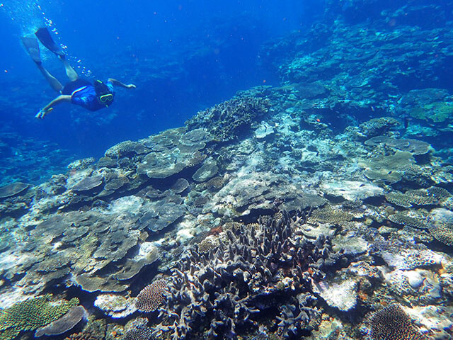 カヤック & シュノーケリング03